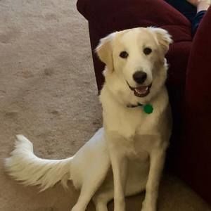 Meet your Posher, Tracy